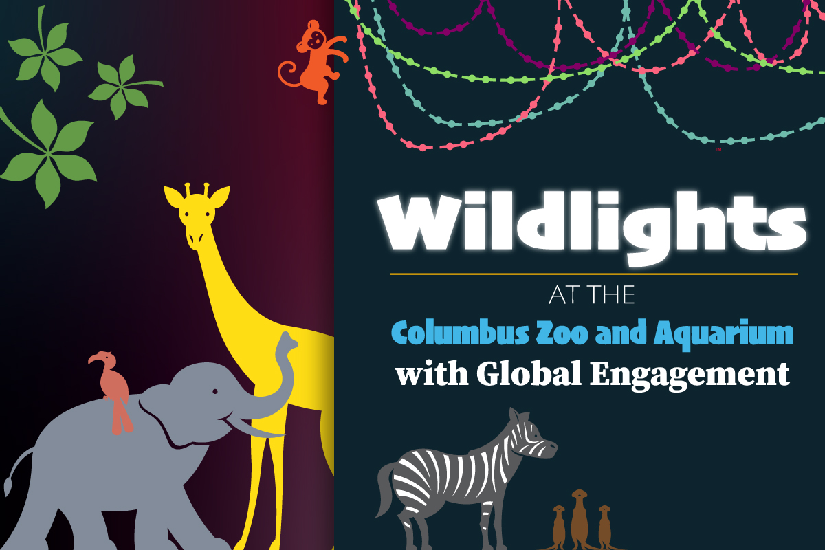 Wildlights At The Columbus Zoo And