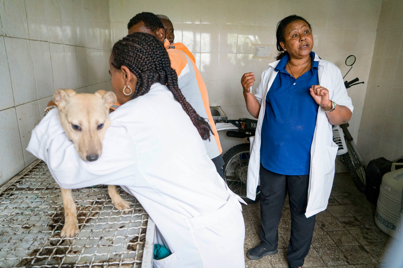 Resources  Global Alliance for Rabies Control