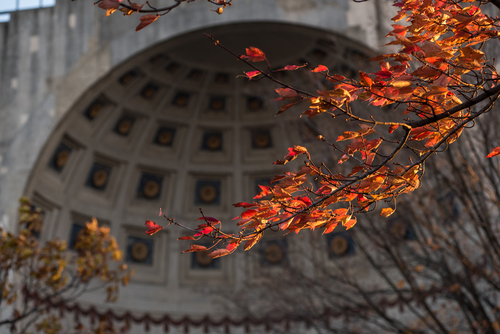 Fall trees in front of Ohio State Stadiums amphitheater