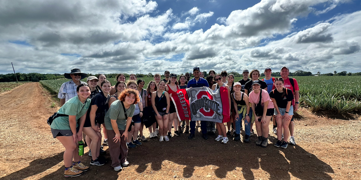 Group of students at a pineapple farm under a clear sky, with one person holding an Ohio State flag.