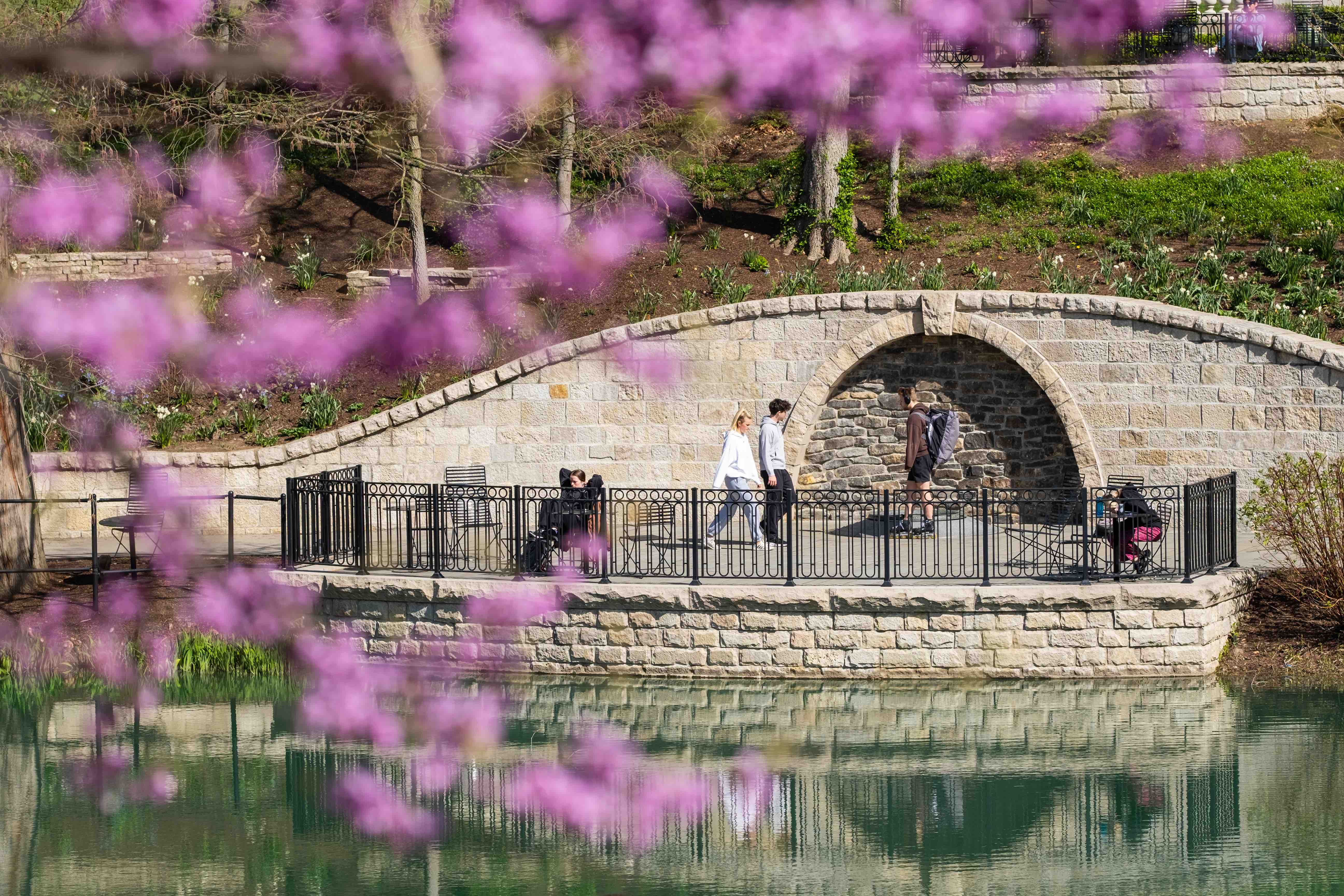 Students walking by Mirror Lake on a spring day.