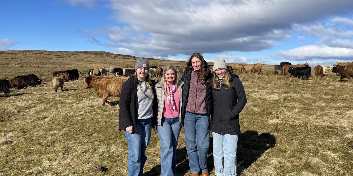 Four people standing in field