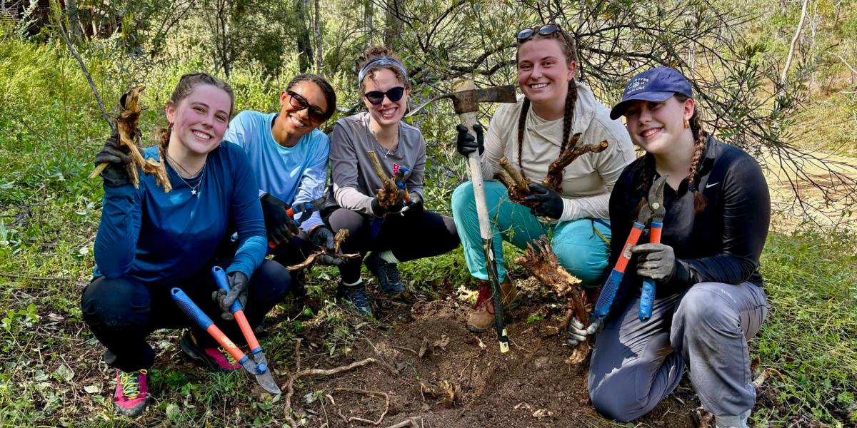 students doing field work in Australia