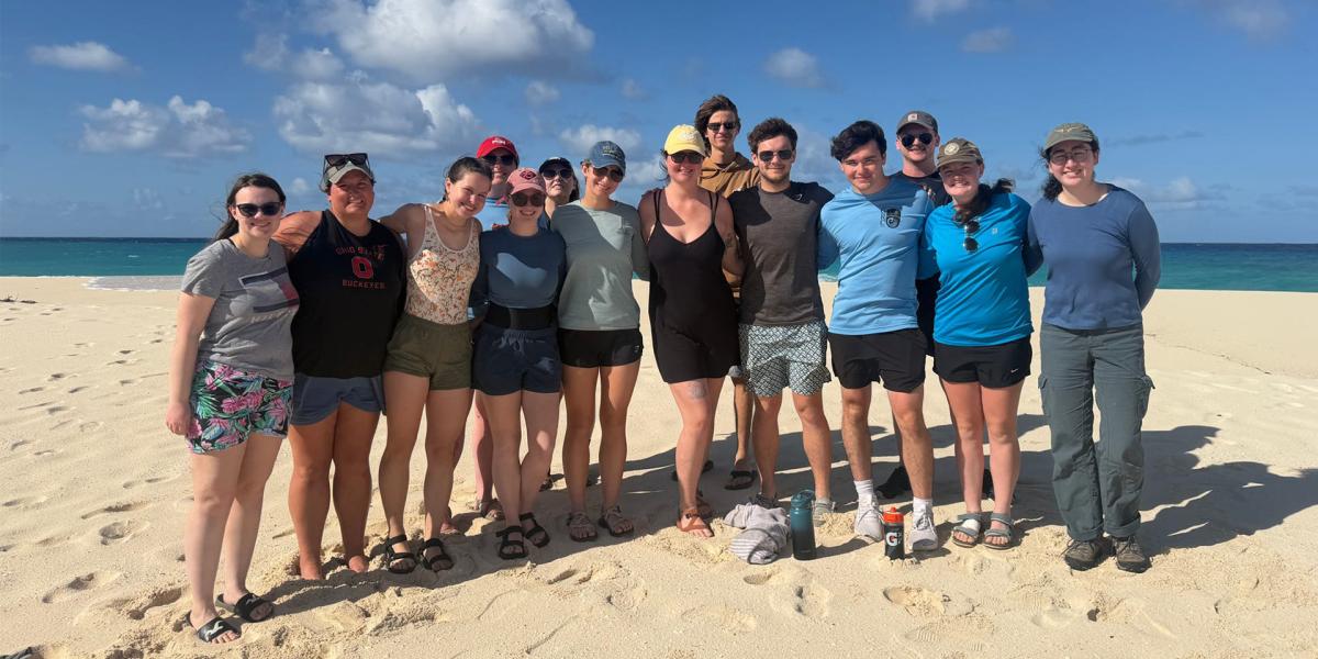 Students on a sunny beach