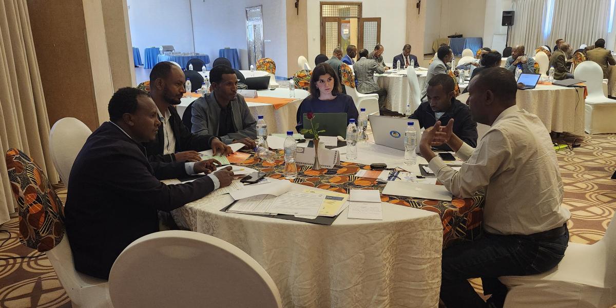 An Ohio State graduate students facilitates discussion at a conference in Ethiopia