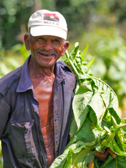 man in green field