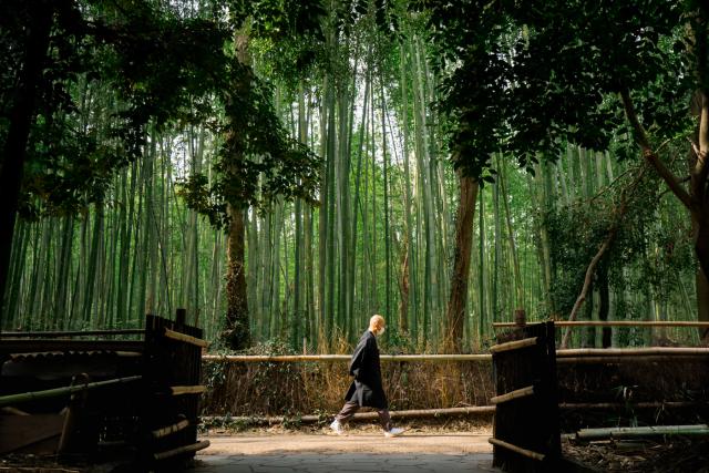Man walking on path in front of bamboo forest