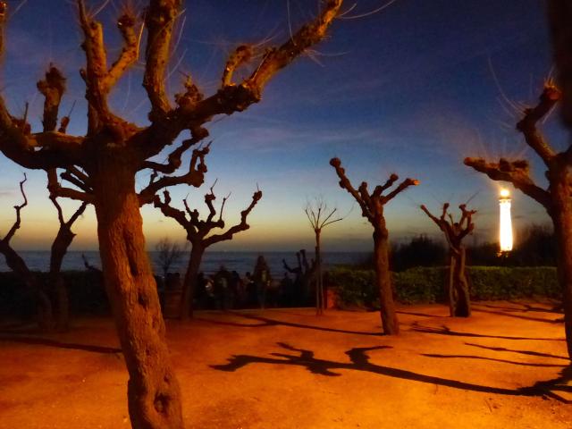 trees on beach