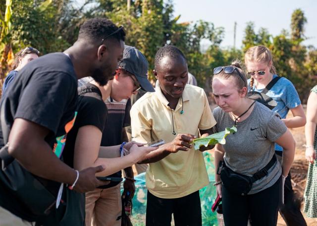 A group of people engaging in an outdoor educational activity, examining a plant leaf closely.