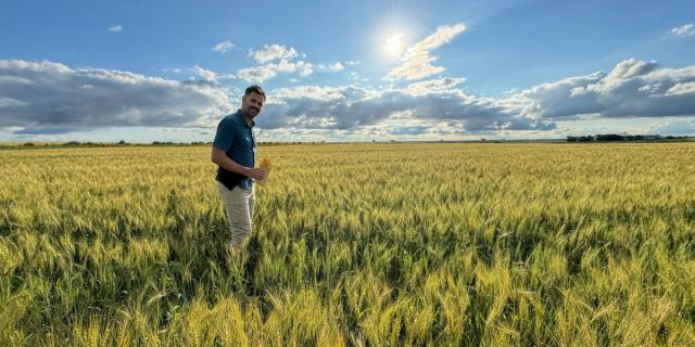Male in a field