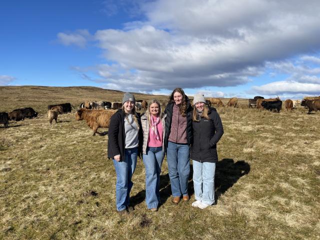 Four people standing in field