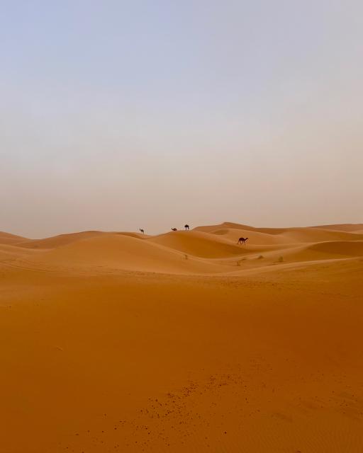 Long landscape view of desert.