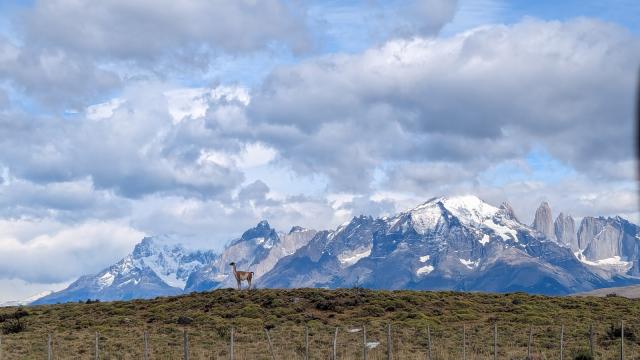 A scenic view of park featuring a grazing animal on grassy terrain. Snow-capped mountains rise majestically in the background under a partly cloudy sky.