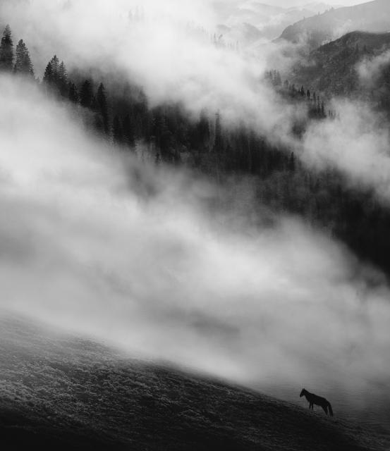 Black and white fog in mountains 