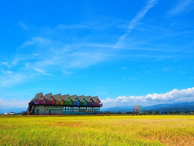 Colorful houses on field