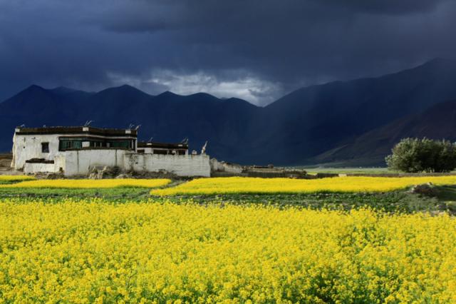 building in grass field