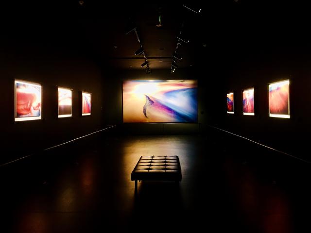 Artwork in museum
