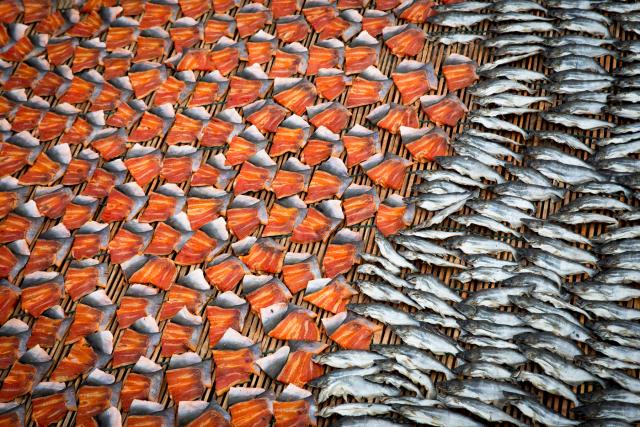 Fish on a table
