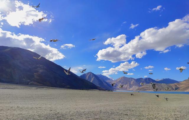A scenic view of Pangong Lake with steep mountains in the background under a clear blue sky. Birds are flying above the vast, barren landscape. 