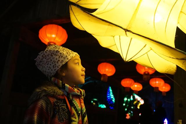 Girl looking at lantern.