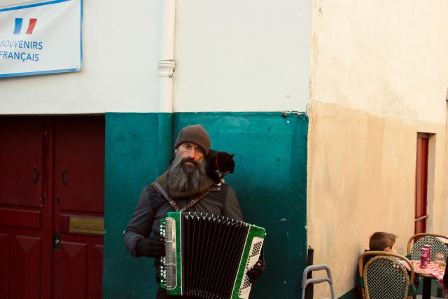 Man playing an accordion with a cat on his shoulder