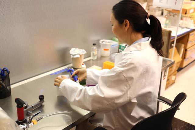 Female working in a lab