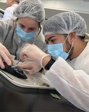 two students doing research on a fish