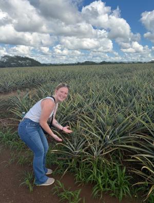 student in a pineapple farm
