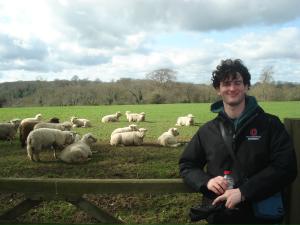 student near sheep