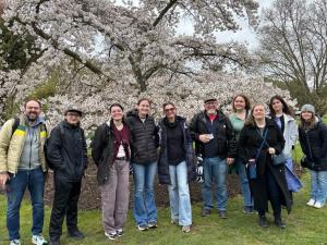 Student group near flowering tree