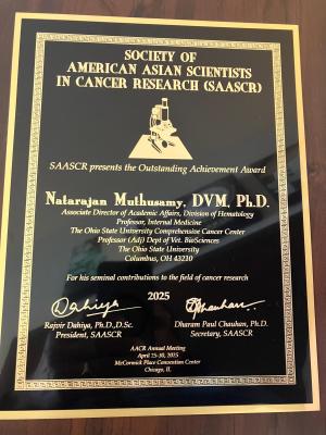 Plaque